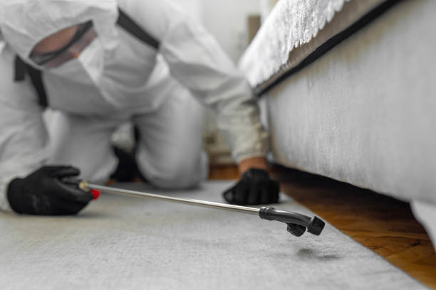 Professional Bed Bug Control technician working in New London, MN