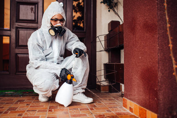 Reliable Bed Bug Control contractor in New London, MN by Nex Pest Control