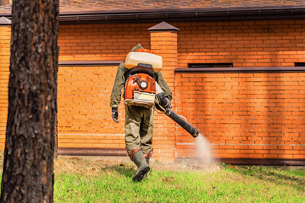 Trusted Termite Control service in New London, MN - Nex Pest Control
